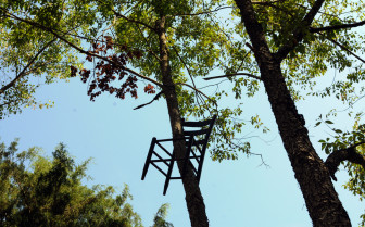 Artist Tom Shields created Forest for the Chairs on the grounds of the North Carolina Museum of Art