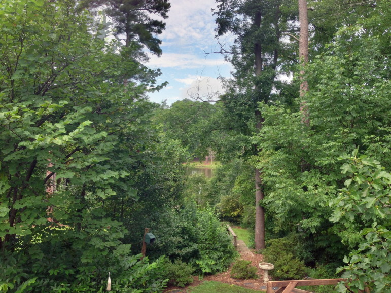 Gloria Putnam's backyard with a view of upper Longview Lake in the background. 