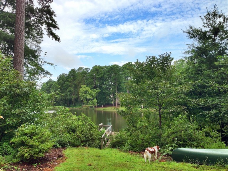 Putnam's backyard with her dog and the lake in the background.