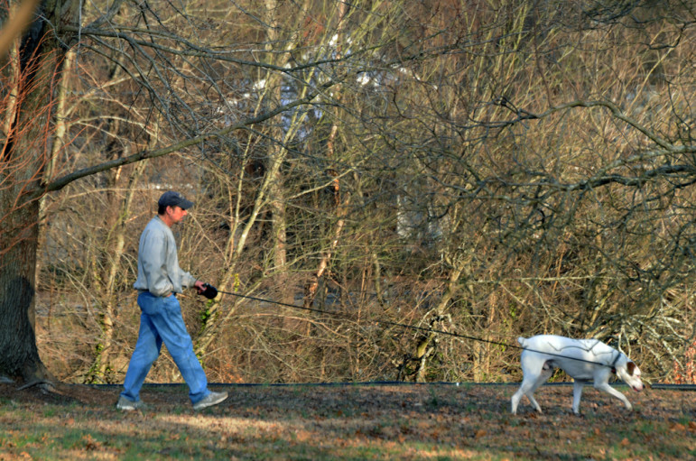A man walks his dog at Fred Fletcher Park.