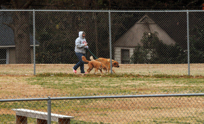 This woman walks her two dogs on the outside of the fence around Oakwood Park's baseball fields.