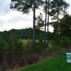 The controversial site of a new development off Falls of Neuse