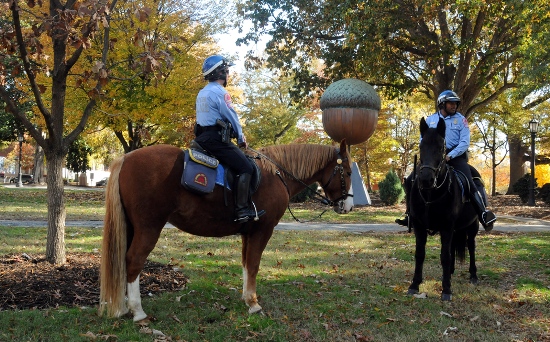 Raleigh's Mounted Police Unit in Moore Square