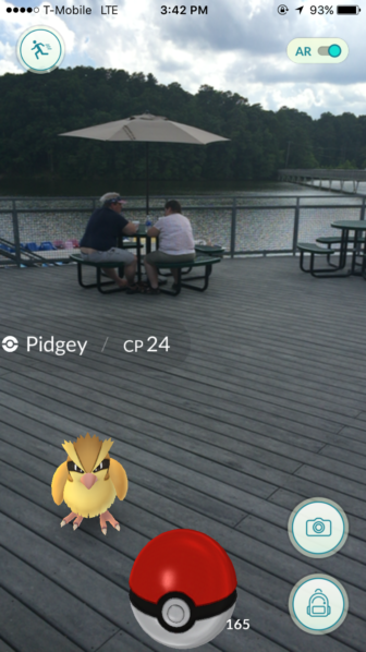 Pidgey at Lake Johnson