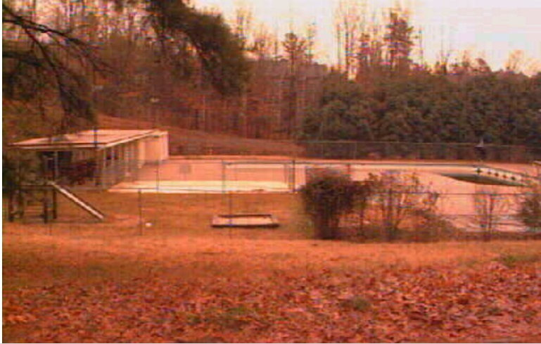 The swim club in 1996