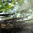 Rifles during the three-gun salute.